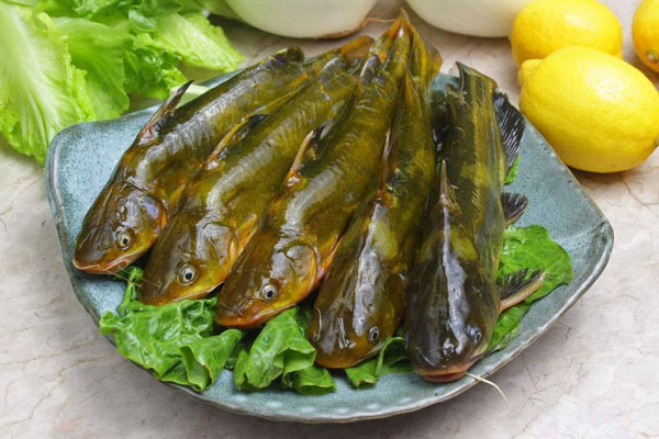 春天花粉過敏怎么辦 如何預(yù)防花粉過敏發(fā)生