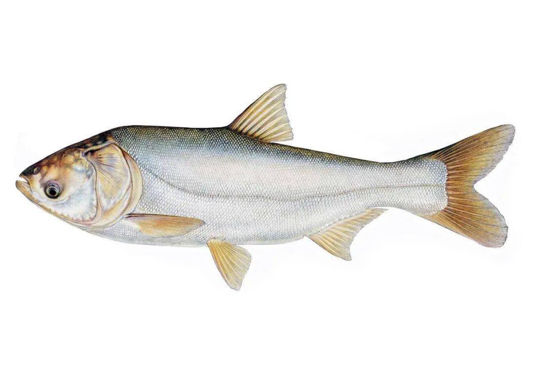 春天蚊蟲多 小心各種皮炎湊熱鬧早春