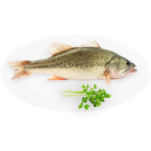 春天蜂蜜水常飲就能潤春燥早春