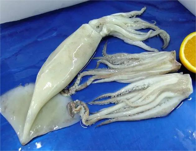 春天要多呵護(hù)心靈之窗早春