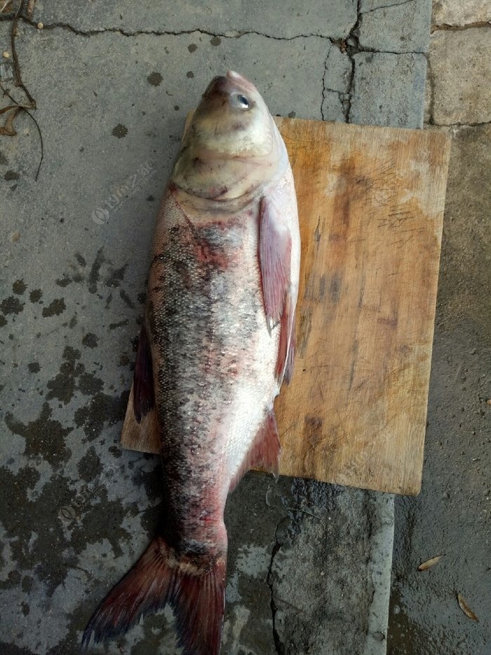 春天調(diào)養(yǎng)情志應(yīng)注意什么？早春