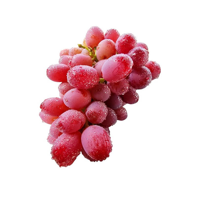 春季養(yǎng)生主張?jiān)绱?></div>
    <div   id=