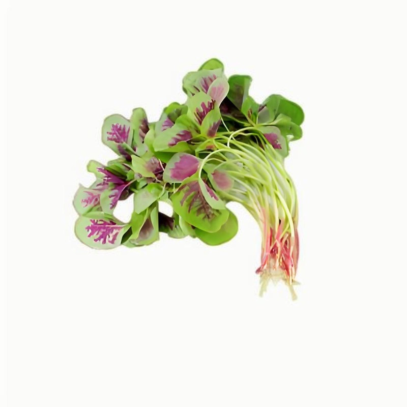 春分的來歷，春分的習俗有哪些，春分的節(jié)氣特征