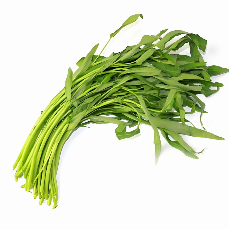 春分節(jié)氣民間習俗春分科學飲食知識