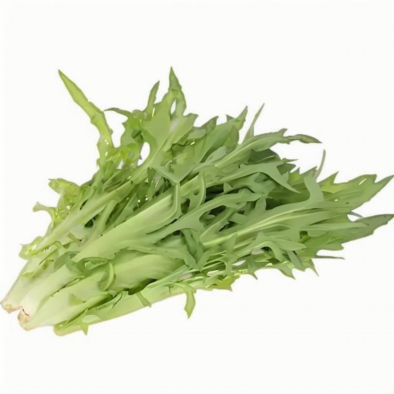 “春困”糾纏著都市白領(lǐng)早春