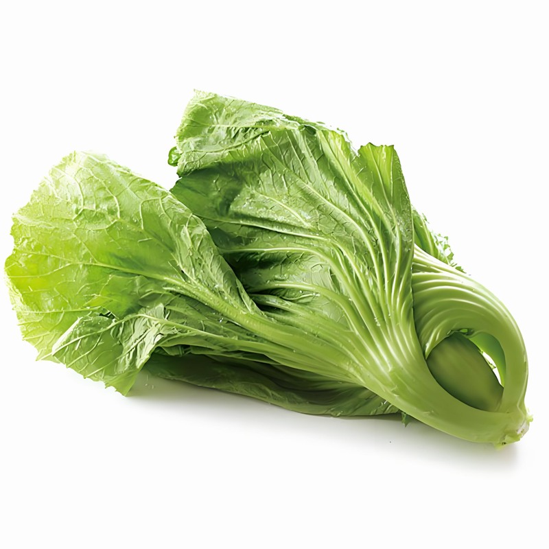 蔬菜配送價格表 2025-4-2