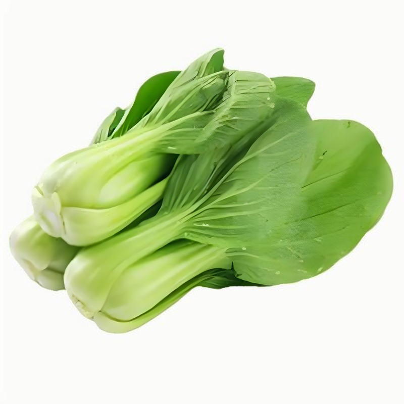 “春捂”有利養(yǎng)生防病早春