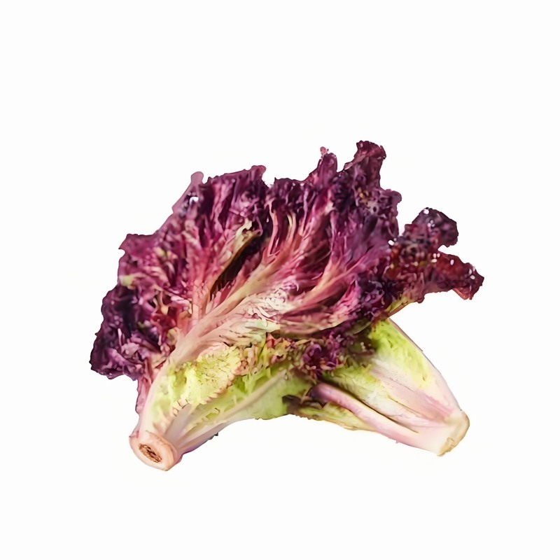 蔬菜配送價格,食材配送,食堂配送